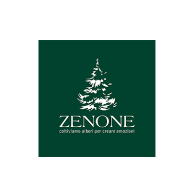 Zenone